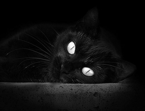 开yun官网-摩洛哥队在巴黎奥运会男足比赛中表现出色，赢得奖项，摩洛哥男足世界排名  第1张