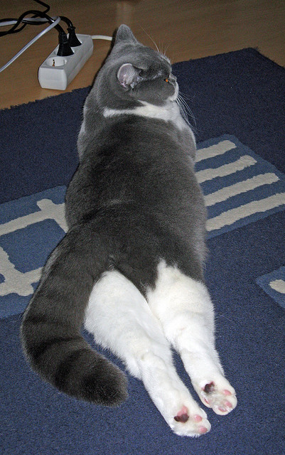 开云平台-_未知探险运动：勇者的荒野追逐_，探索未知的勇气例子