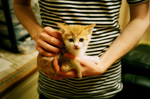 开云·Kaiyun网页版-_经典困境：逆境中的决断瞬间感动球迷_，逆境中的励志短语