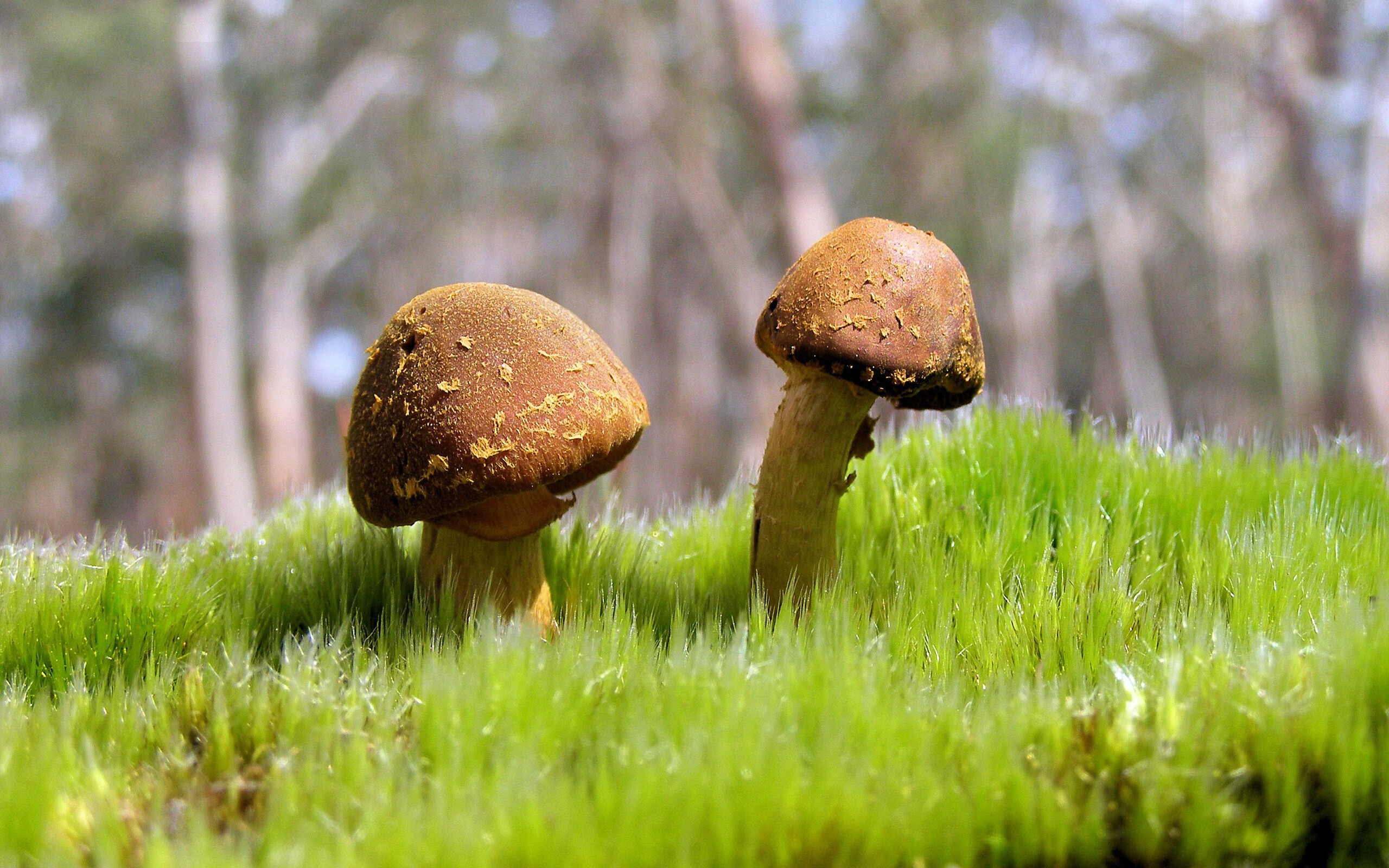 开云体育俱乐部官网-“全球巡回：穿行在五大洲的极限之旅”，跨越五大洲