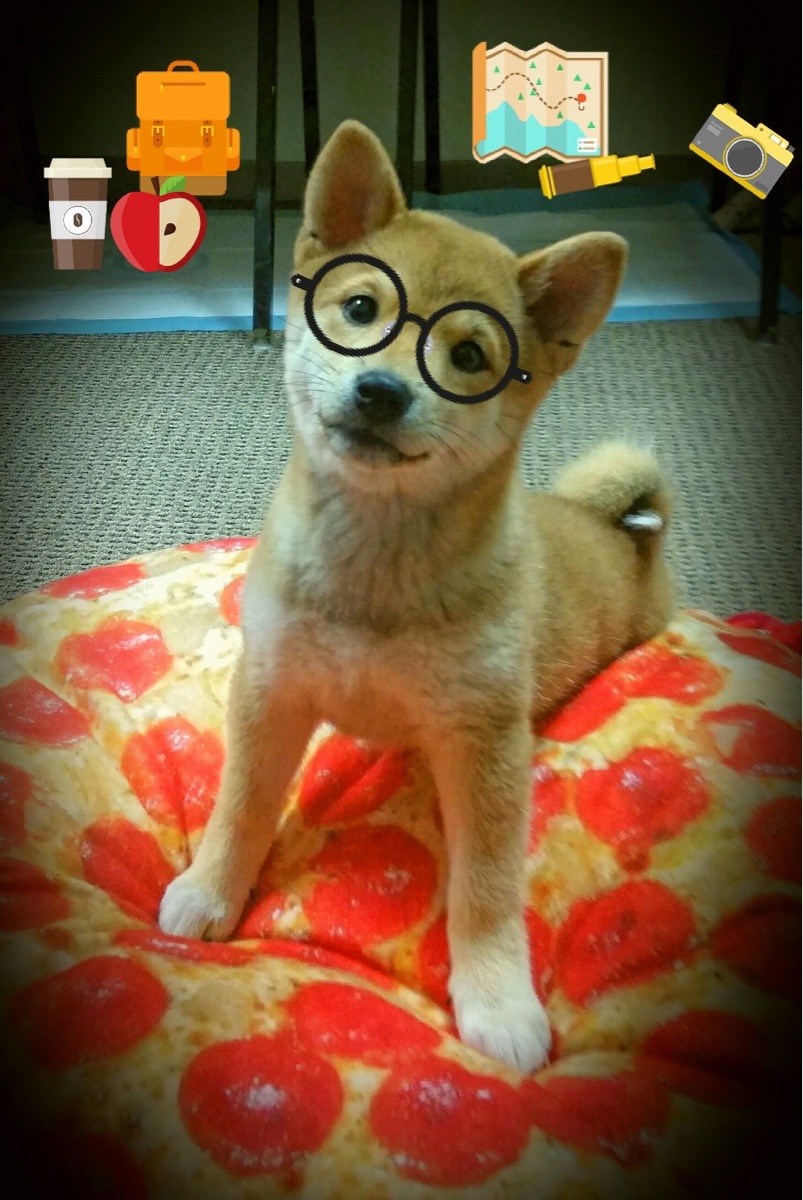 kaiyun官方入口登录-体育+文化融合创新，推动青少年多元发展新格局，体育文化的融合