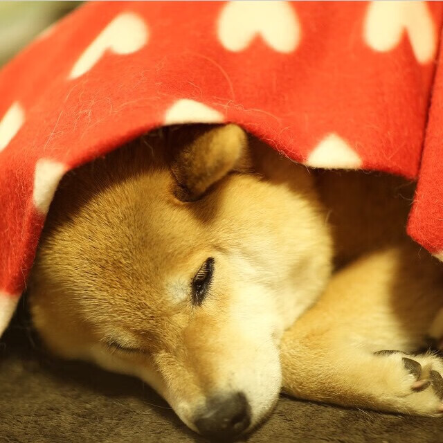 开云体育官方下载-摩洛哥队在巴黎奥运会男足比赛中表现出色,赢得铜牌,摩洛哥著名足球运动员 第2张 开云体育官方下载-摩洛哥队在巴黎奥运会男足比赛中表现出色,赢得铜牌,摩洛哥著名足球运动员 第2张